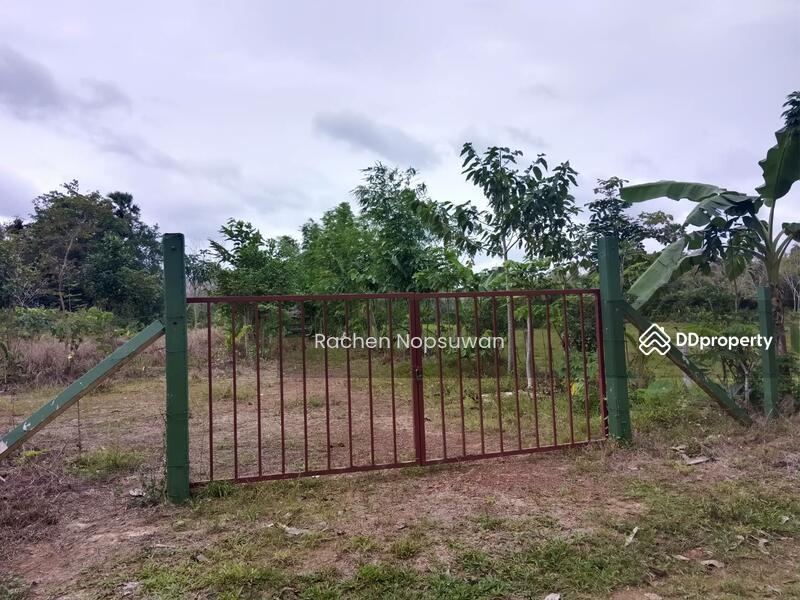 ขาย - ที่ดินบางกล่ำ, สงขลา
