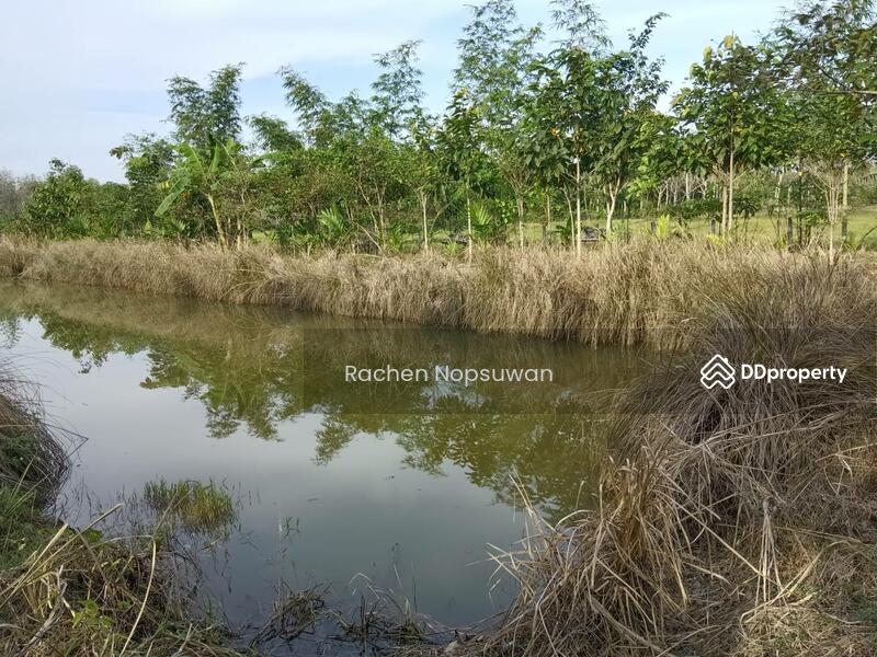 For Sale - ที่ดินบางกล่ำ, Songkhla