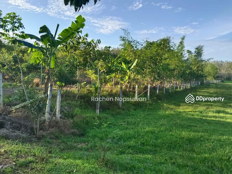ขาย - ที่ดินบางกล่ำ, สงขลา