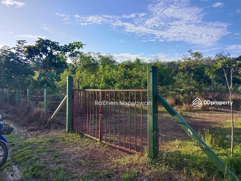 ขาย - ที่ดินบางกล่ำ, สงขลา