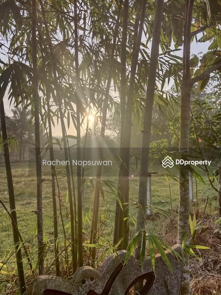 ขาย - ที่ดินบางกล่ำ, สงขลา