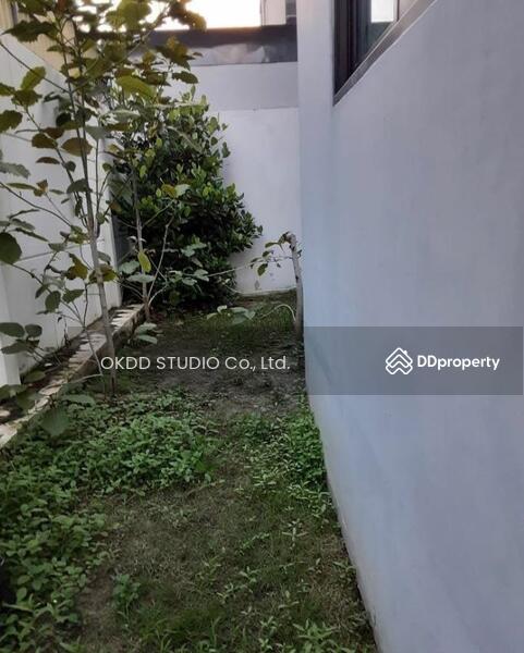 For Sale - เดอะโมดิช ชัยพฤกษ์-วงแหวน : The Modish Chaiyaphruek-Wongwaen, นนทบุรี, Nonthaburi