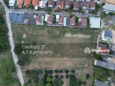 ขาย - ที่ดินศรีราชา สุรศักดิ์ ชลบุรี, ชลบุรี