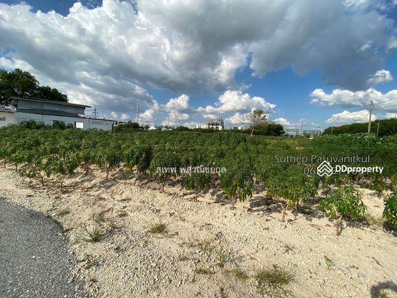 Industrial Purple-Zone Land for Sale, 6-0-71.4 Rai, WHA Map Ta Phut, 3-Phase Electricity Available, Rayong, Huai Pong, Muang Rayong, Rayong, , 9,884 sqm, Land For Sale, by สุเทพ พสุวณิชย์กุล, 11157641 - DDproperty.com