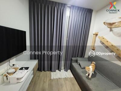 ขาย - Brixton Pet & Play Sukhumvit 107 : บริกซ์ตัน เพ็ทแอนด์เพลย์ สุขุมวิท 107, สมุทรปราการ