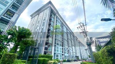 ขาย - THE IRIS บางใหญ่, นนทบุรี