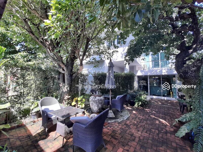 ๋็House for rent, ready to move in, 5 bedrooms, 6 bathrooms., Chiang Mai, Nong Chom, San Sai, Chiang Mai, 5 Bedrooms, 300 sqm, Single Detached House For Rent, by Shori Asset Group Co., Ltd., 11158623 - DDproperty.com