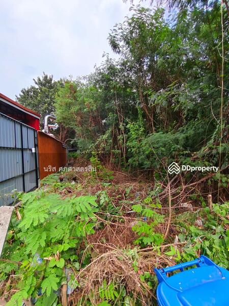 For Rent - ที่ดินเปล่า ศรีด่าน5, Samut Prakan