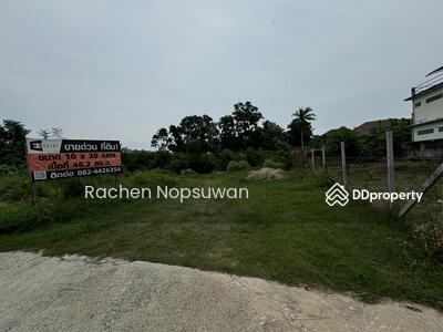 ขาย - ที่ดินสงขลา, สงขลา