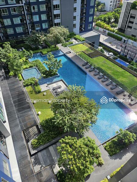 The Base Sukhumvit 77, Bangkok, 289 Sukhumvit 77 Road, Phra Kanong Nua, Watthana, Bangkok, 1 Bedroom, 35 sqm, Condo For Rent, by Caveman Property, 11159420 - DDproperty.com