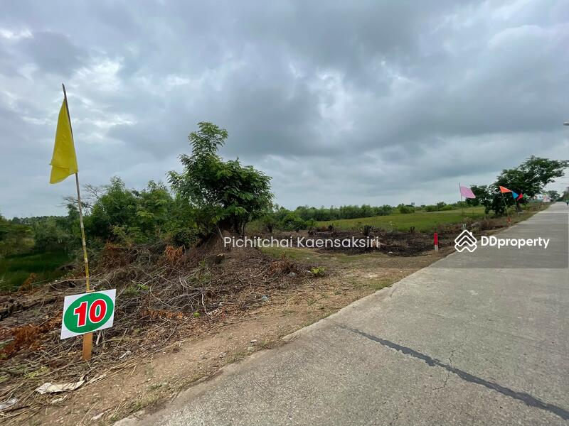 ที่ดินชะแมบ อำเภอวังน้อย จังหวัดพระนครศรีอยุธยา, Phra Nakhon Si Ayutthaya, Cha Maep, Wang Noi, Phra Nakhon Si Ayutthaya, , 8,120 sqm, Land For Sale, by Pichitchai Kaensaksiri, 11161880 - DDproperty.com