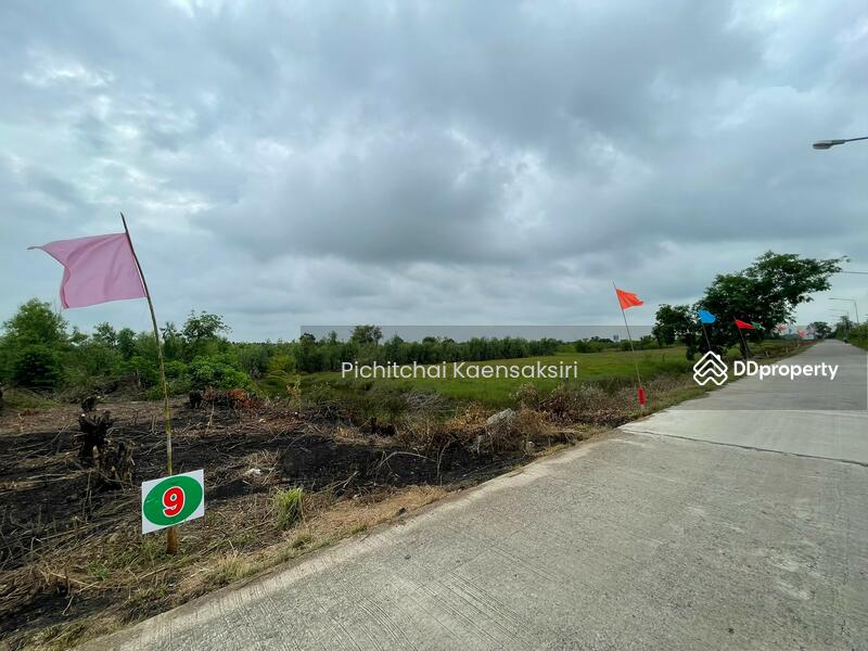 ที่ดินชะแมบ อำเภอวังน้อย จังหวัดพระนครศรีอยุธยา, Phra Nakhon Si Ayutthaya, Cha Maep, Wang Noi, Phra Nakhon Si Ayutthaya, , 8,120 sqm, Land For Sale, by Pichitchai Kaensaksiri, 11161880 - DDproperty.com