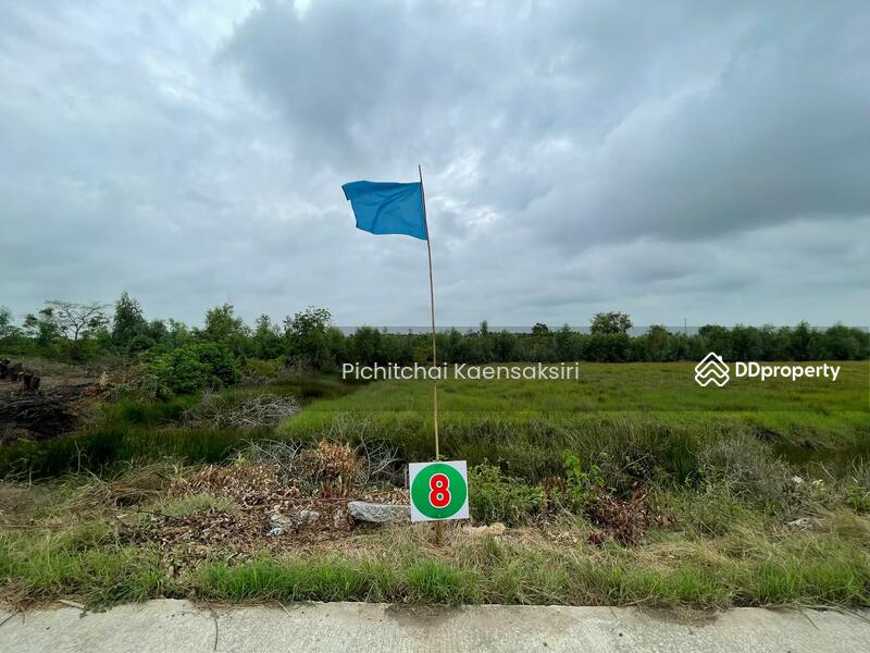 ที่ดินชะแมบ อำเภอวังน้อย จังหวัดพระนครศรีอยุธยา, Phra Nakhon Si Ayutthaya, Cha Maep, Wang Noi, Phra Nakhon Si Ayutthaya, , 8,120 sqm, Land For Sale, by Pichitchai Kaensaksiri, 11161880 - DDproperty.com