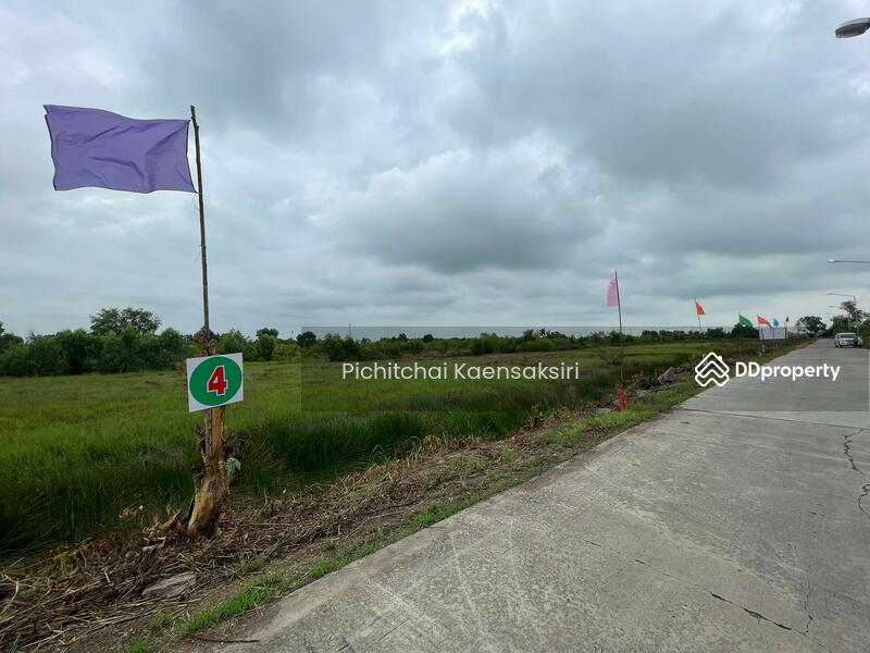 ที่ดินชะแมบ อำเภอวังน้อย จังหวัดพระนครศรีอยุธยา, Phra Nakhon Si Ayutthaya, Cha Maep, Wang Noi, Phra Nakhon Si Ayutthaya, , 8,120 sqm, Land For Sale, by Pichitchai Kaensaksiri, 11161880 - DDproperty.com
