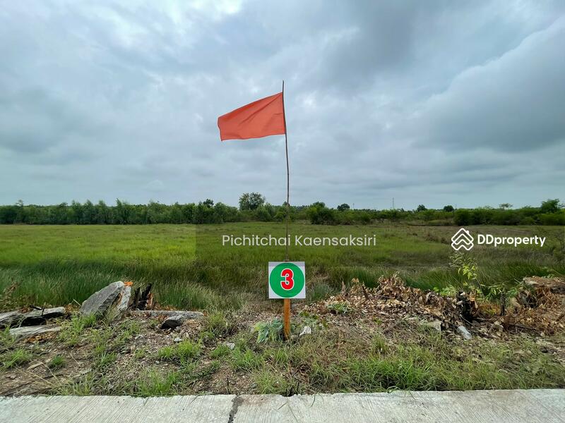 ที่ดินชะแมบ อำเภอวังน้อย จังหวัดพระนครศรีอยุธยา, Phra Nakhon Si Ayutthaya, Cha Maep, Wang Noi, Phra Nakhon Si Ayutthaya, , 8,120 sqm, Land For Sale, by Pichitchai Kaensaksiri, 11161880 - DDproperty.com