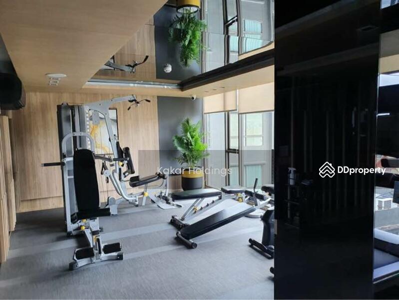 ให้เช่า - The Tree Sukhumvit 64 : เดอะทรี สุขุมวิท 64, กรุงเทพ