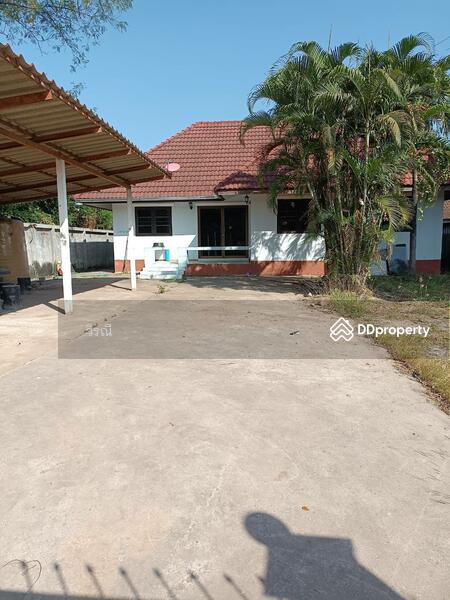เช่าบ้านเดี่ยวชั้นเดียว ใกล้ เทอร์มินอลเนื้อที่เยอะ, Nakhon Ratchasima, Nai Muang, Muang Nakhon Ratchasima, Nakhon Ratchasima, 3 Bedrooms, 114 sqm, Single Detached House For Rent, by วิรณี, 11165991 - DDproperty.com