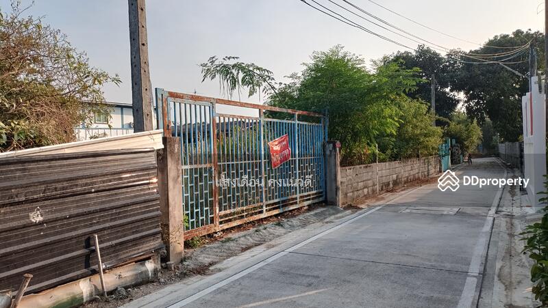 Land 136 sq.wah. nearest Sukhumvit road 200m, Chon Buri (Pattaya), 8 เทศบาลพัฒนา, Mhueng, Muang Chon Buri, Chon Buri (Pattaya), , 544 sqm, Land For Sale, by แสงเดือน คงแนวดี, 11166637 - รั้วหน้าที่ดิน - DDproperty.com