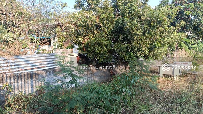 Land 136 sq.wah. nearest Sukhumvit road 200m, Chon Buri (Pattaya), 8 เทศบาลพัฒนา, Mhueng, Muang Chon Buri, Chon Buri (Pattaya), , 544 sqm, Land For Sale, by แสงเดือน คงแนวดี, 11166637 - DDproperty.com