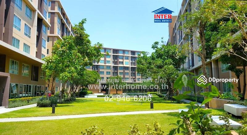Dcondo Campus Resort Rangsit : ดี คอนโด แคมปัส รีสอร์ท รังสิต, ปทุมธานี ...
