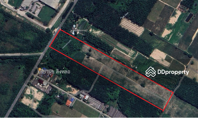 ขาย - ที่ดินในอำเภอนิคมพัฒนา 22 ไร่, ระยอง