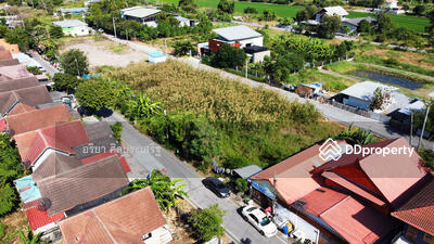 ขาย - ที่ดิน ซ.ฉัตรหลวง 1 อ.ไทรน้อย, นนทบุรี