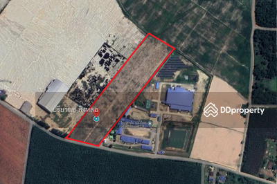 ขาย - ขายด่วน ที่ดินตำบลหนองอิรุณ อำเภอบ้านบึง จังหวัดชลบุรี 20 ไร่, ชลบุรี