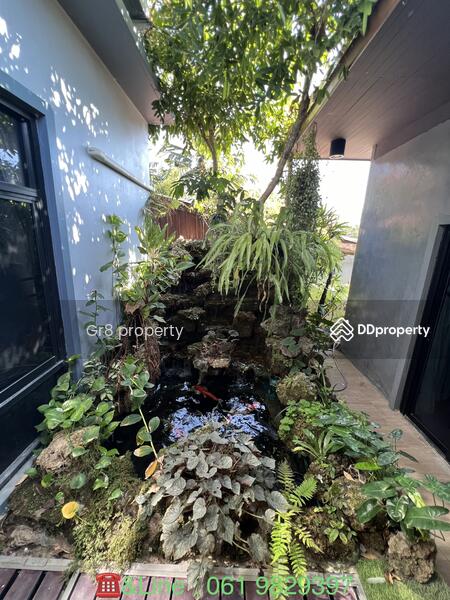 ขาย - ซอยกิตติวงศ์ ต.โพธิ์ชัย อ.เมืองหนองคาย, หนองคาย