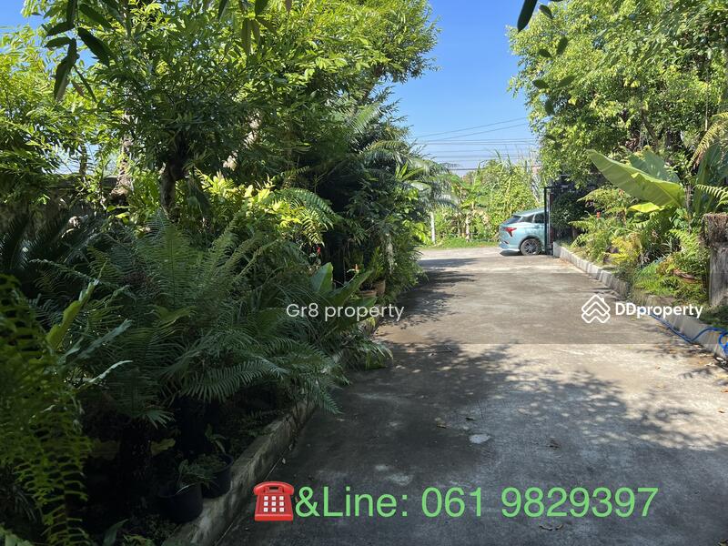 ขาย - ซอยกิตติวงศ์ ต.โพธิ์ชัย อ.เมืองหนองคาย, หนองคาย