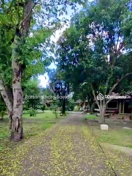 For Sale - Land with homestay house, San Phi Suea, Chiang Mai, Chiang Mai