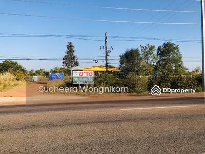 ขาย - ที่ดินน่าลงทุน ที่บงใต้ สว่างแดนดิน สกลนคร, สกลนคร