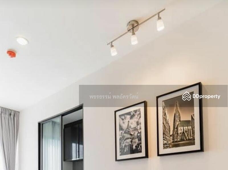 Rhythm Asoke, Bangkok, 299 Asoke - Dindaeng Road, Makkasan, Ratchathewi, Bangkok, 1 Bedroom, 31 sqm, Condo For Rent, by Rattapon Sivamok, 11172960 - DDproperty.com