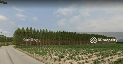 ขาย - บ้านฉาง ระยอง, ระยอง