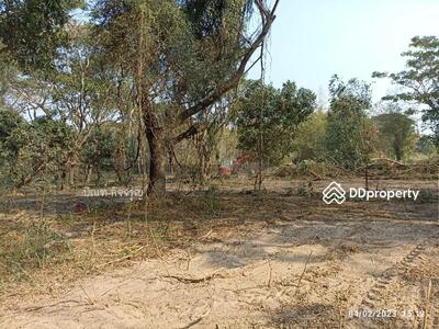 ขาย - สันทราย เชียงใหม่, เชียงใหม่