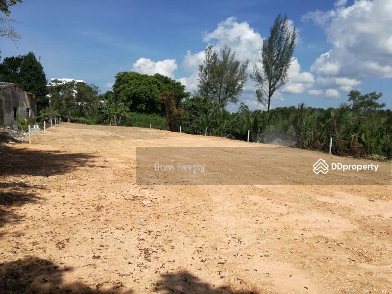 ขาย - หาดนาใต้ พังงา, พังงา
