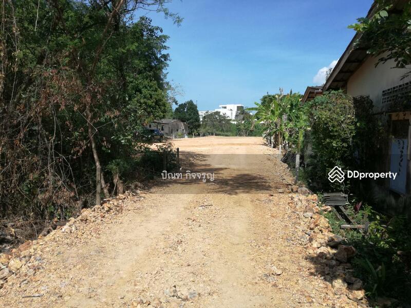 ขาย - หาดนาใต้ พังงา, พังงา