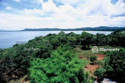 ขาย - แหลมงอบ ตราด, ตราด