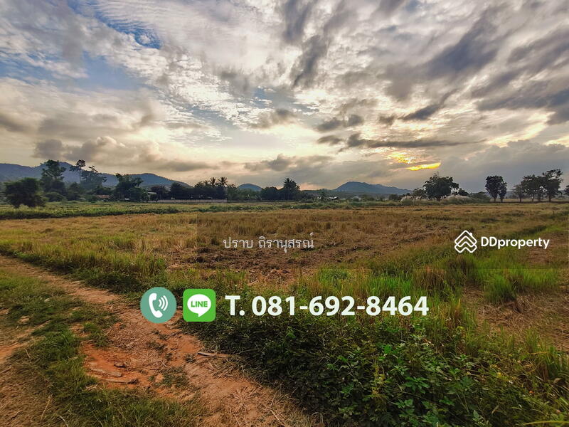 ขาย - แม่จัน เชียงราย, เชียงราย
