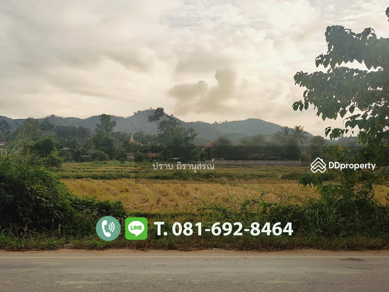 ขาย - แม่จัน เชียงราย, เชียงราย