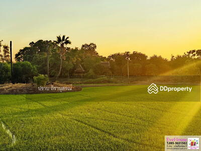 ขาย - อยุธยา, พระนครศรีอยุธยา