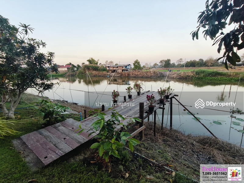 For Sale - Phra Nakhon Si Ayutthaya, Phra Nakhon Si Ayutthaya