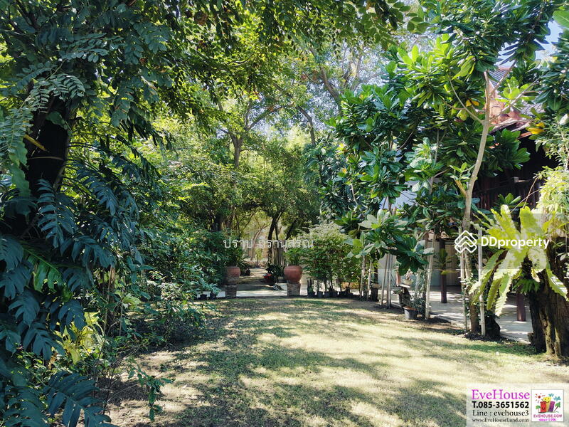 For Sale - Phra Nakhon Si Ayutthaya, Phra Nakhon Si Ayutthaya