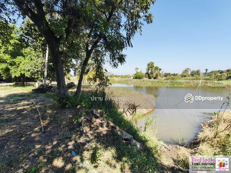 For Sale - Phra Nakhon Si Ayutthaya, Phra Nakhon Si Ayutthaya