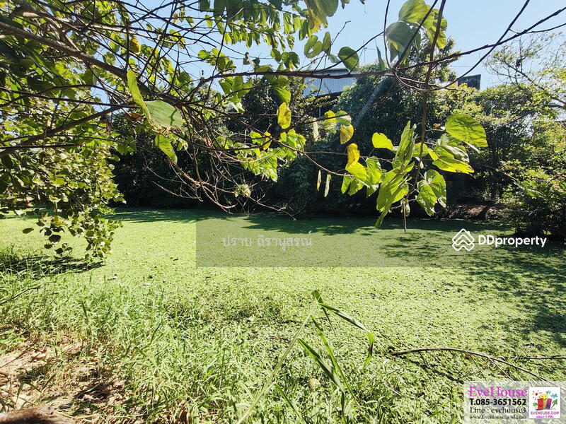 For Sale - Phra Nakhon Si Ayutthaya, Phra Nakhon Si Ayutthaya