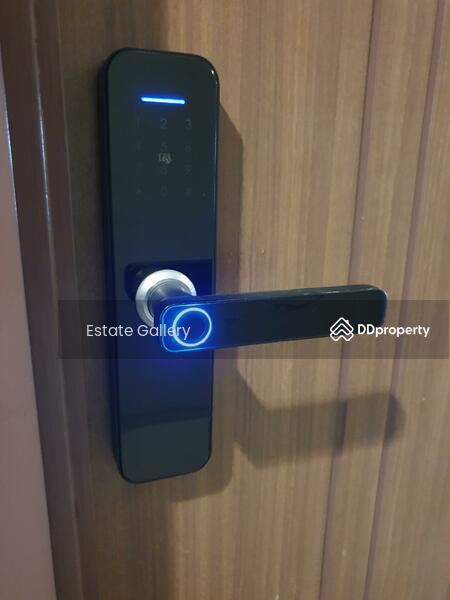 Wyne Sukhumvit : วายน์ สุขุมวิท, กรุงเทพ, 1120 ถนนสุขุมวิท, พระโขนง, คลองเตย, กรุงเทพ, 30 ตร.ม., คอนโด ให้เช่า, โดย สุขุม อุดมวิทยาธร, 11182358 - DDproperty.com