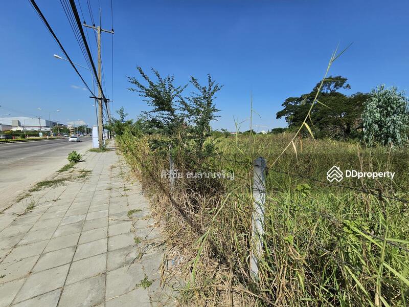 For Rent - Land for rent Mueng Phitsanulok Opposite Central Plaza Phitsanulok, Phitsanulok