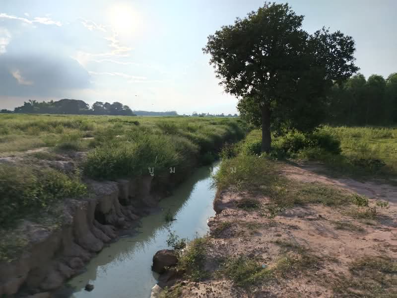 ขายที่ดิน โฉนด 12ไร่ ต.หนองตากยา อ.ท่าม่วง จ.กาญจนบุรี หลังวัดทะเลสาบ 1กม.กว่า ไร่ละ 240,000, กาญจนบุรี, หนองตากยา, ท่าม่วง, กาญจนบุรี, 19,220 ตร.ม., ที่ดิน ขาย, โดย บูม บูม, 11184257 - DDproperty.com