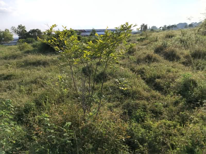 ขายที่ดิน โฉนด 12ไร่ ต.หนองตากยา อ.ท่าม่วง จ.กาญจนบุรี หลังวัดทะเลสาบ 1กม.กว่า ไร่ละ 240,000, Kanchanaburi, Nong Tak Ya, Tha Muang, Kanchanaburi, , 19,220 sqm, Land For Sale, by Kittisap Lertharn, 11184257 - DDproperty.com