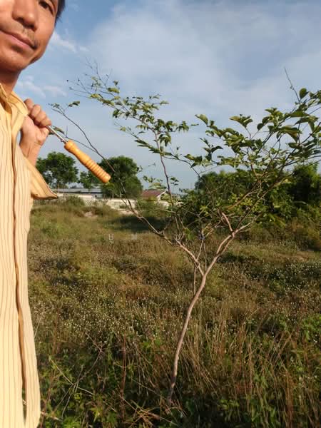 ขายที่ดิน โฉนด 12ไร่ ต.หนองตากยา อ.ท่าม่วง จ.กาญจนบุรี หลังวัดทะเลสาบ 1กม.กว่า ไร่ละ 240,000, Kanchanaburi, Nong Tak Ya, Tha Muang, Kanchanaburi, , 19,220 sqm, Land For Sale, by Kittisap Lertharn, 11184257 - DDproperty.com