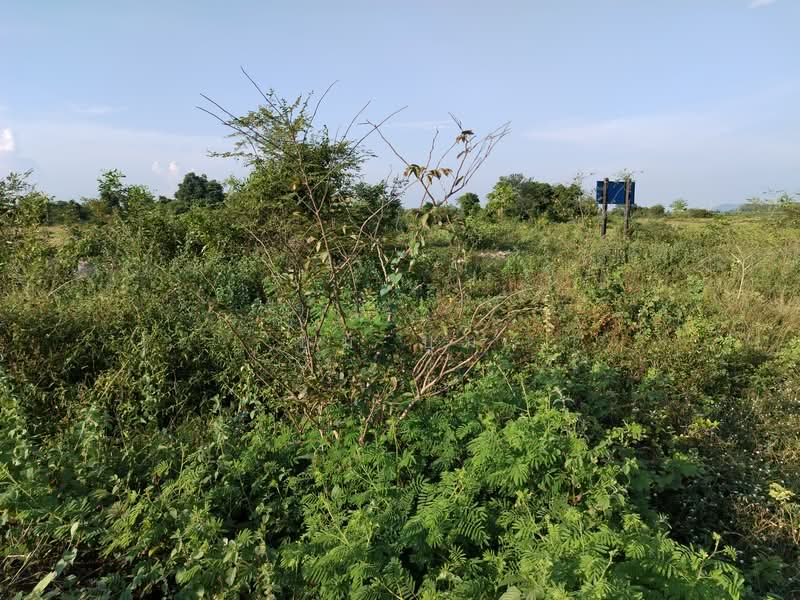 ขายที่ดิน โฉนด 12ไร่ ต.หนองตากยา อ.ท่าม่วง จ.กาญจนบุรี หลังวัดทะเลสาบ 1กม.กว่า ไร่ละ 240,000, Kanchanaburi, Nong Tak Ya, Tha Muang, Kanchanaburi, , 19,220 sqm, Land For Sale, by Kittisap Lertharn, 11184257 - DDproperty.com